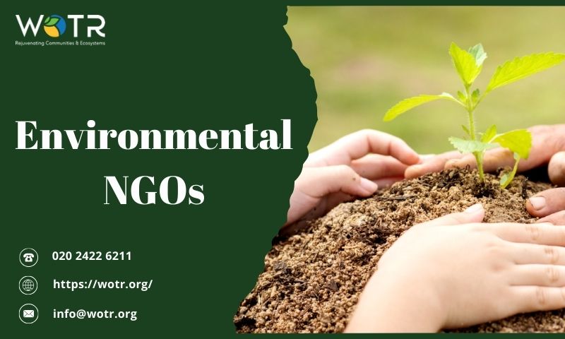  Inspiring Environmental Conservation In Youth With Environmental NGOs