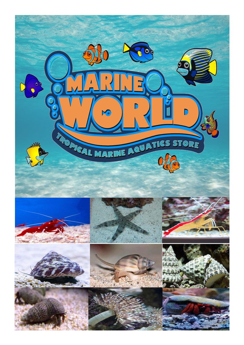  Marine Care Products for Sale UK