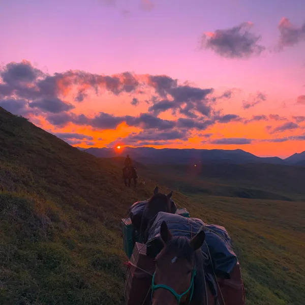  CARIBOU WILD MOUNTAIN TOURS