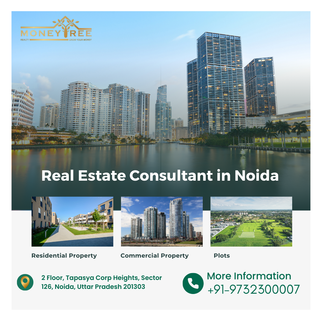  Real Estate Consultant