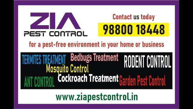  Zia Pest control service in Bangalore | Free Inspection | Low cost | 1895