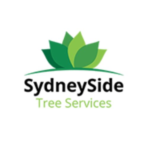  Emergency Tree Removal Sydney: Fast, Reliable Response When You Need It Most