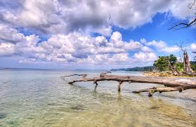  Andaman Tour Package Including Airfare From Delhi