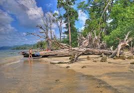  Andaman Tour Packages from Pune