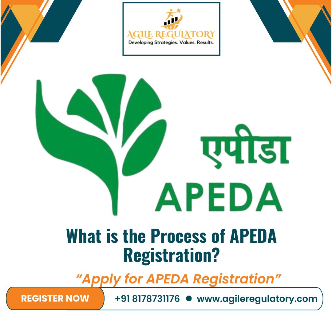  What is the Process of APEDA Registration?