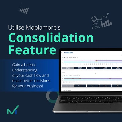  Revolutionize Your Business Finances with Moolamore Financial Tool