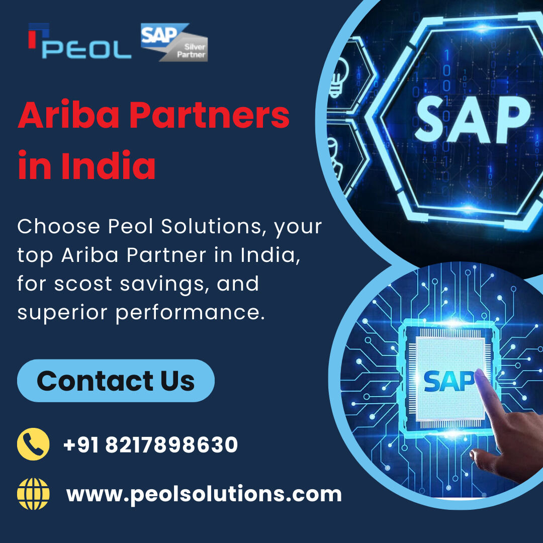  Ariba Partners in India