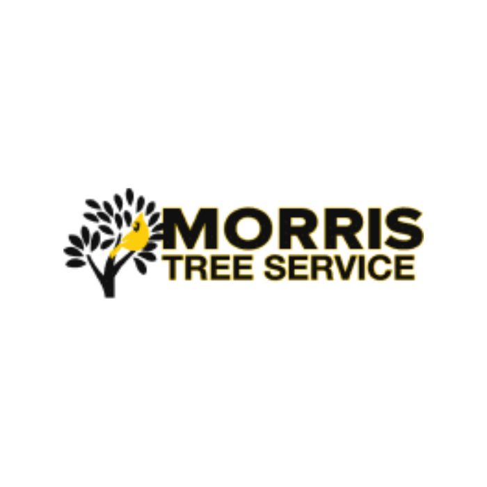  Reliable Tree Services - Contact Morris Tree Service Today!