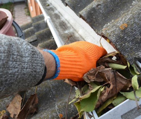  Nicholson Cleaning Brighton Ltd