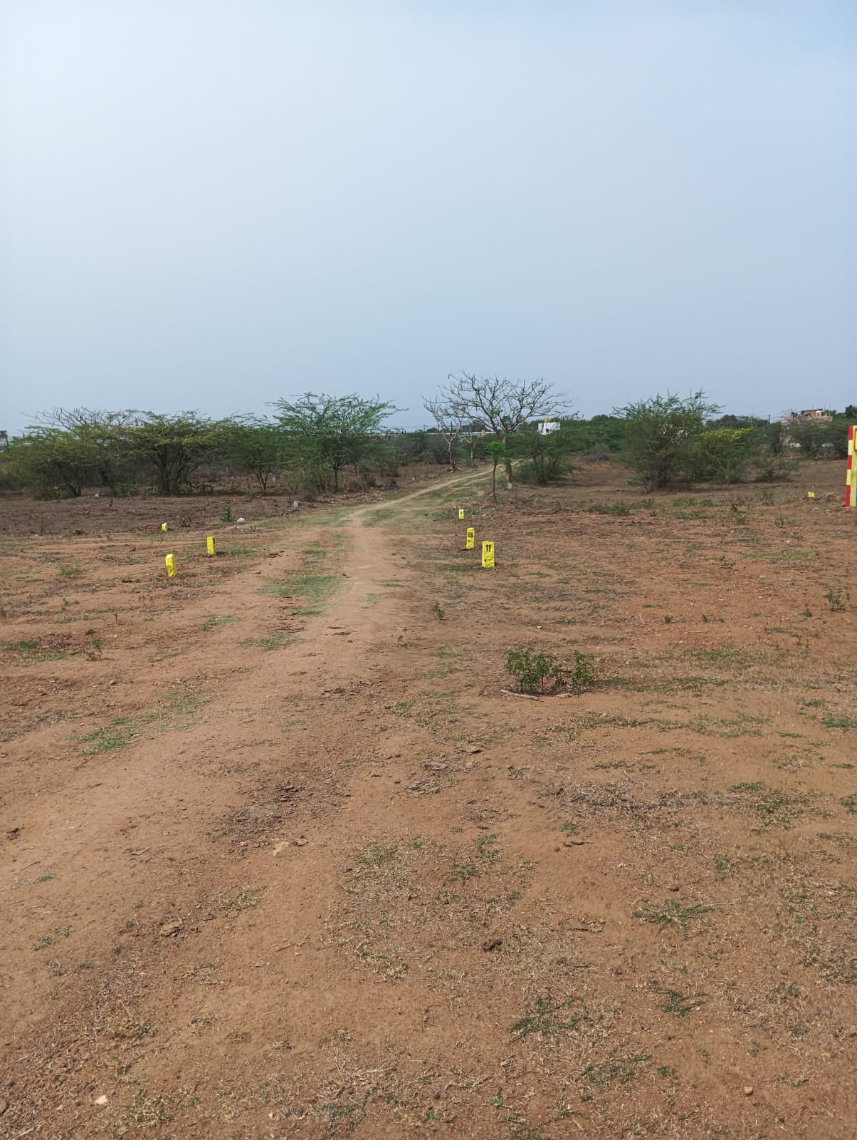  DTCP APPRPOVED PLOTS FOR SALE AT MOSUR