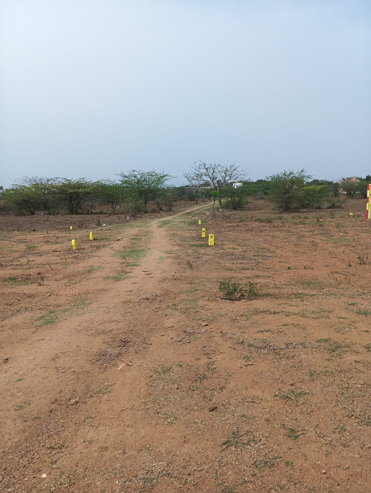  DTCP APROVED PLOTS FOR SALE AT MOSUR