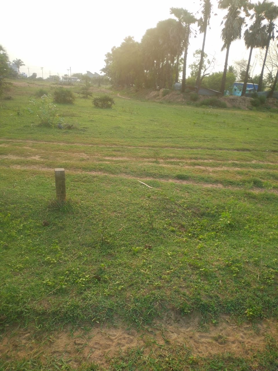  	DTCP APPROVED PLOTS FOR SALE AT ARANVOYAL