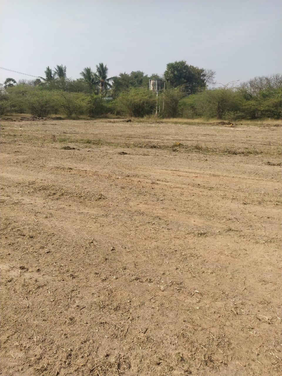  DTCP APPROVED PLOTS FOR SALE AT SEVAPPET