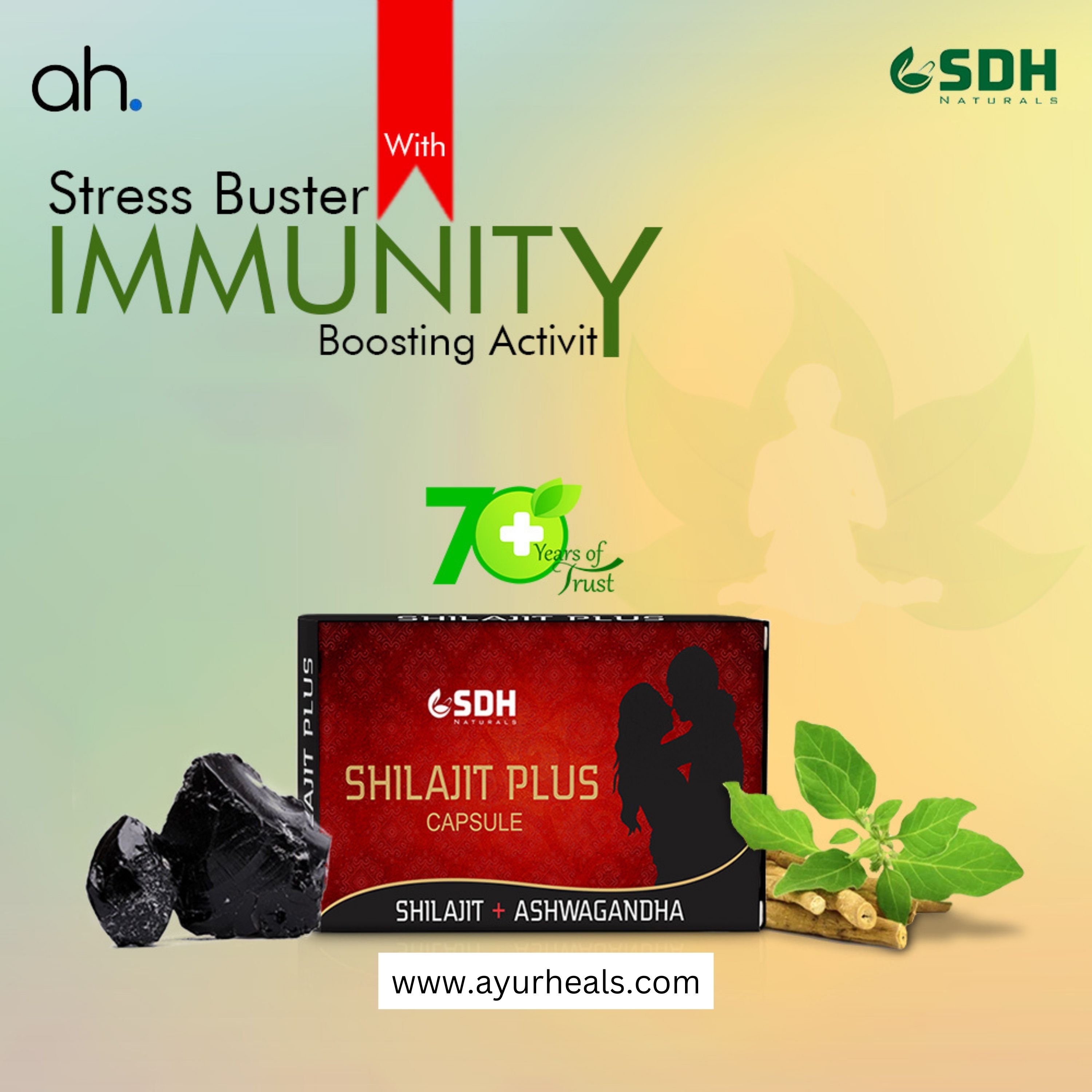  Ayurheals - Discover the Power of Shree Dhanwantri Herbals