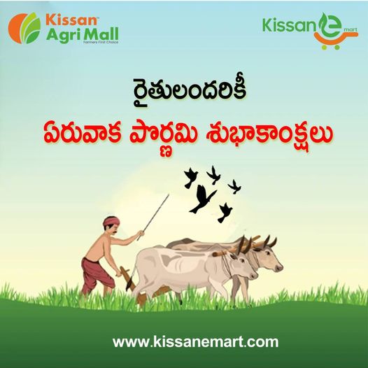  Choose the Best Crop Seeds for Your Farm || Kissan Agri Mall