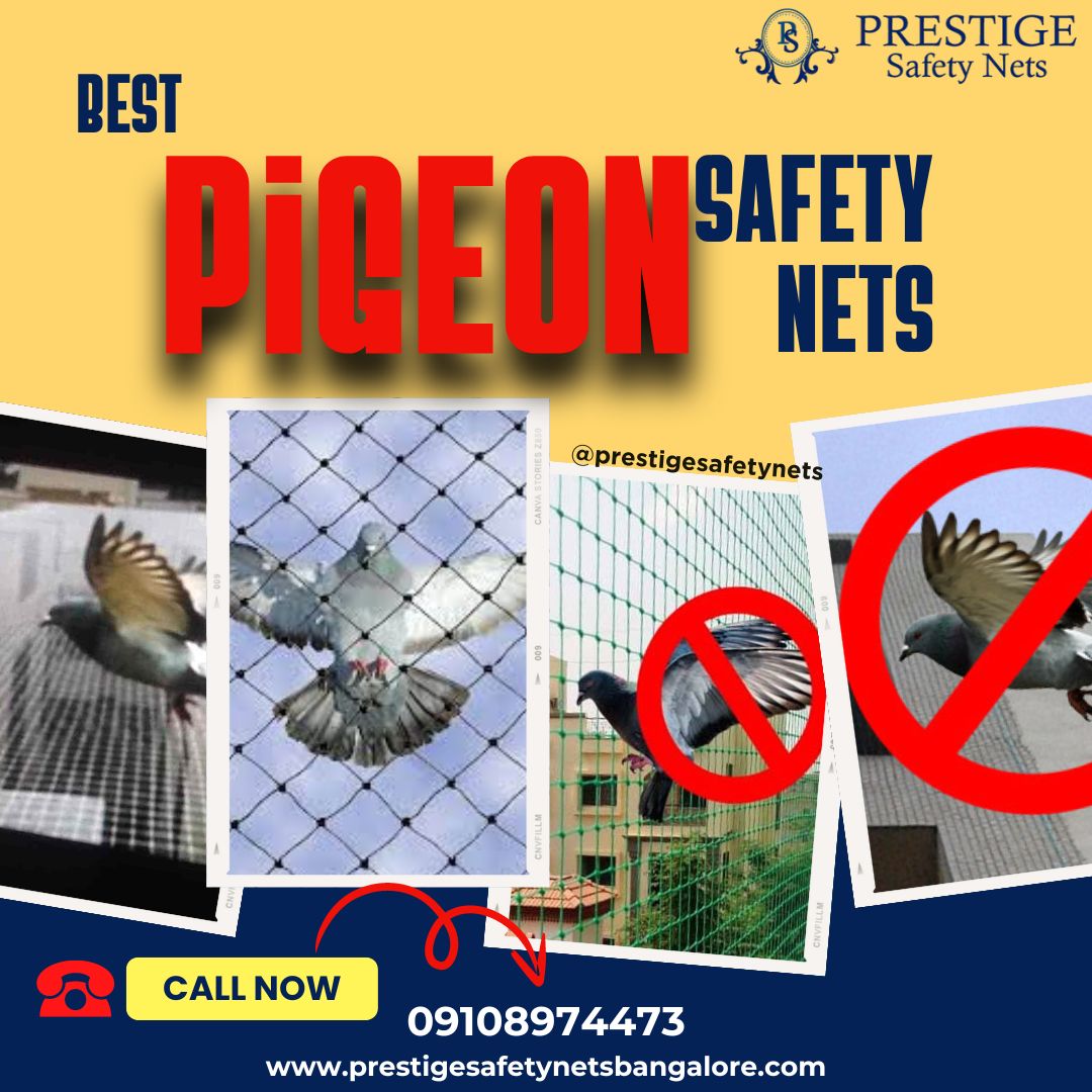  Choose Prestige for Pigeon Safety Nets in Bangalore with the Best Price