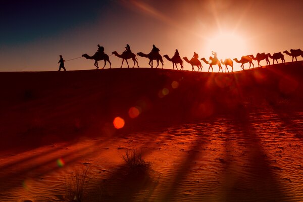  Evening Desert Safari Dubai