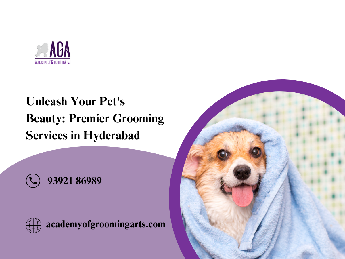  Top Pet Grooming Services in Hyderabad – Academy Of Grooming Arts