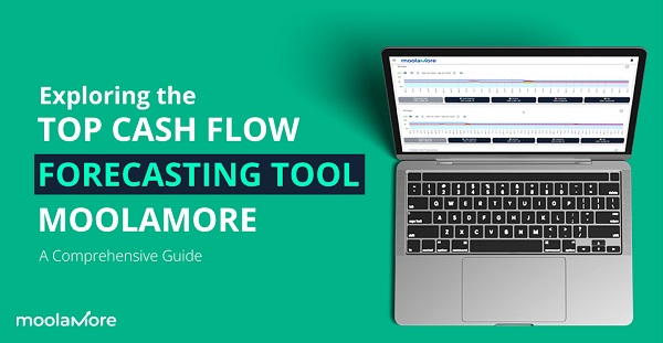  Achieve Financial Clarity with Moolamore Forecasting Software