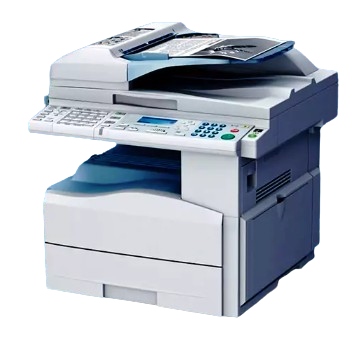  Efficient HP Printer Paper Jam Fixes by HP Printer Support Pro