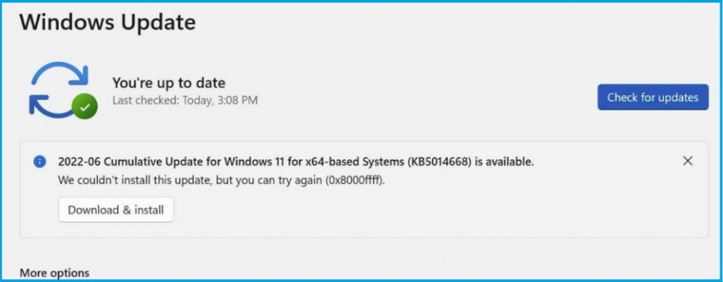  Error Code 0x8000ffff in Windows 11 Update