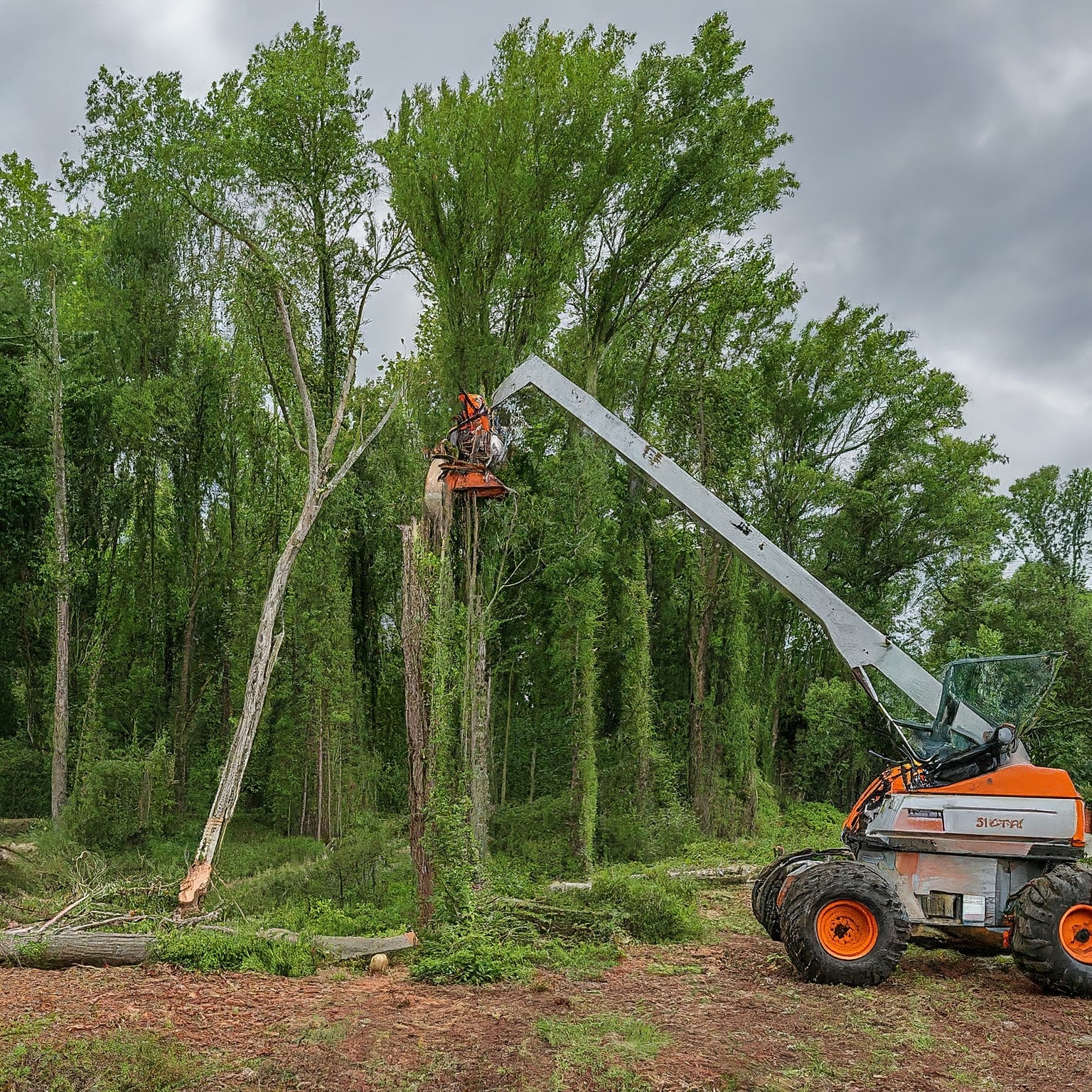  Chopping Down Trees: Safe and Reliable Services