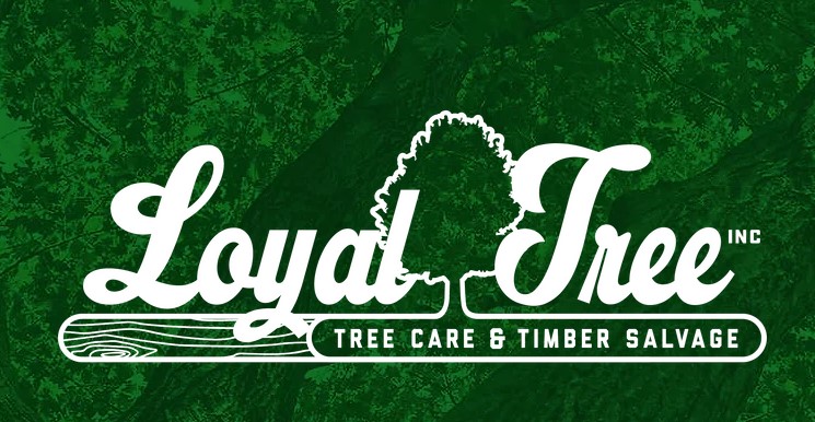  Loyal Tree Inc