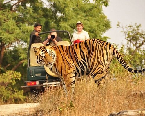  Get Ranthambore National Park Safari Booking at best Prices