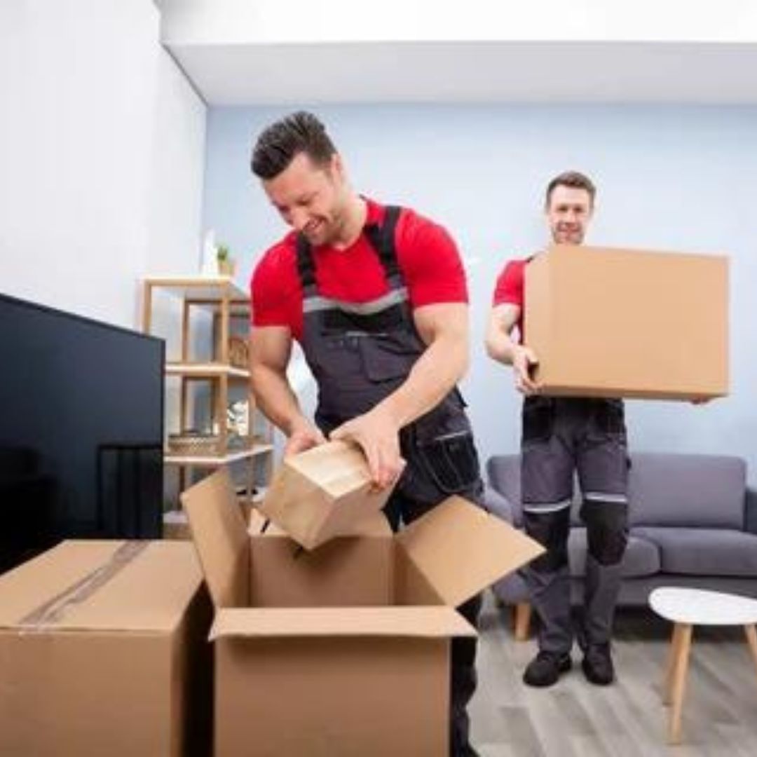  Best Auckland Office Movers - Affordable & Expert Office Moves