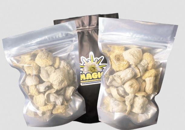  magicmushroomsdelivery.co Take 20% off Canada's BEST Shrooms TODAY