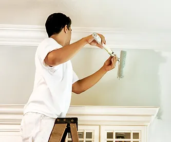  Spartan Renovations: Expert Interior Painting Services for Every Need