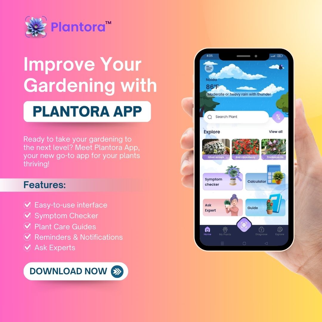  The Best Plant Care and Plant Identifier App to take care of your Plant Health.