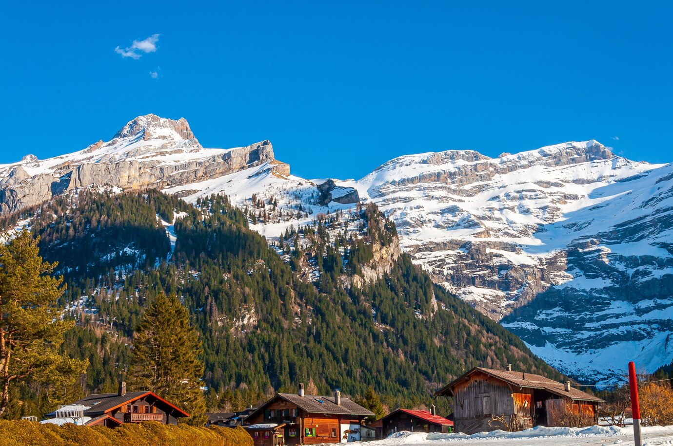  Alpine Beauty Calling? Here's Your Swiss Tour Packages!