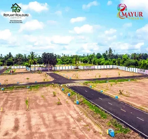  Lands/Plots for Sale Near Khatu Shyam Ji Ka Mandir, Sikar – Replant Realguru