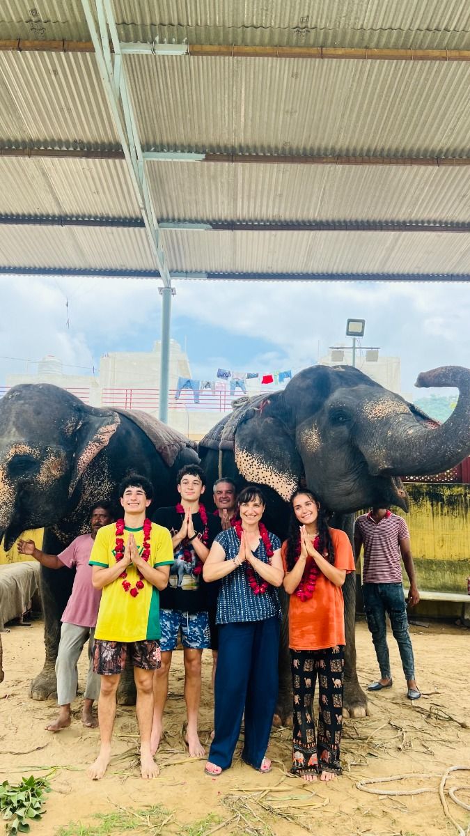  Majestic Elephant Ride in Jaipur: A Royal Adventure with Elefriendride