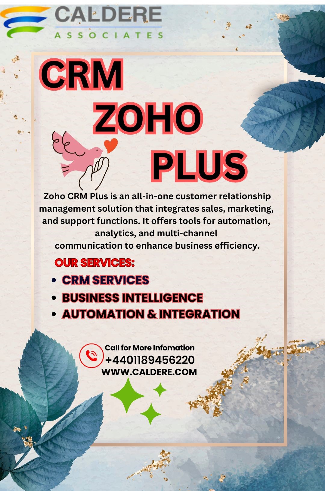  Streamline Your Business with CRM Zoho Plus | Caldere