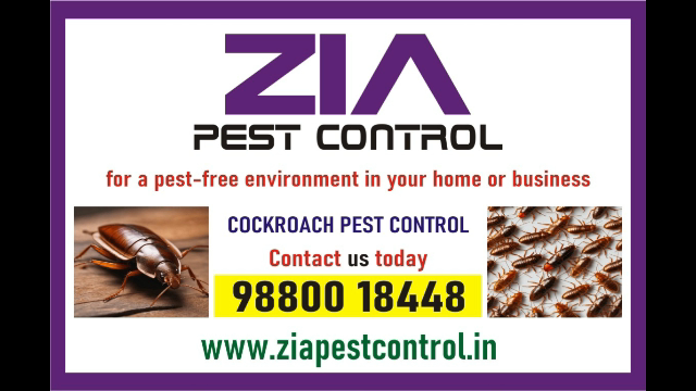  Zia Pest control Service | Bedbug Treatment Price Rs. 1500 | two service 1872