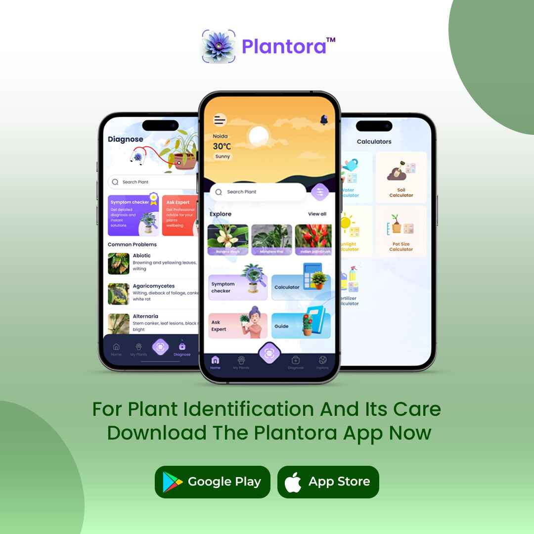  Welcome to Plantora, The Zero Guess Work Plant Identifier and Plant Care App.