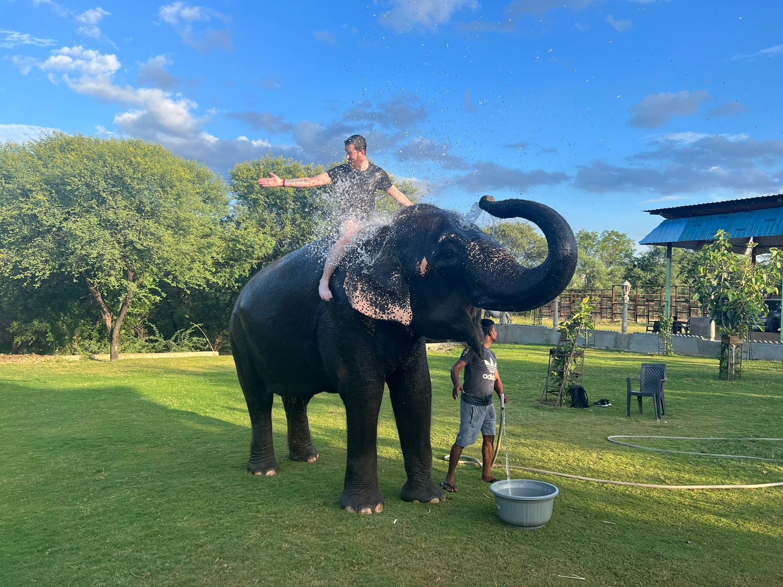  Elefriendride Best Elephant Experiences in Jaipur