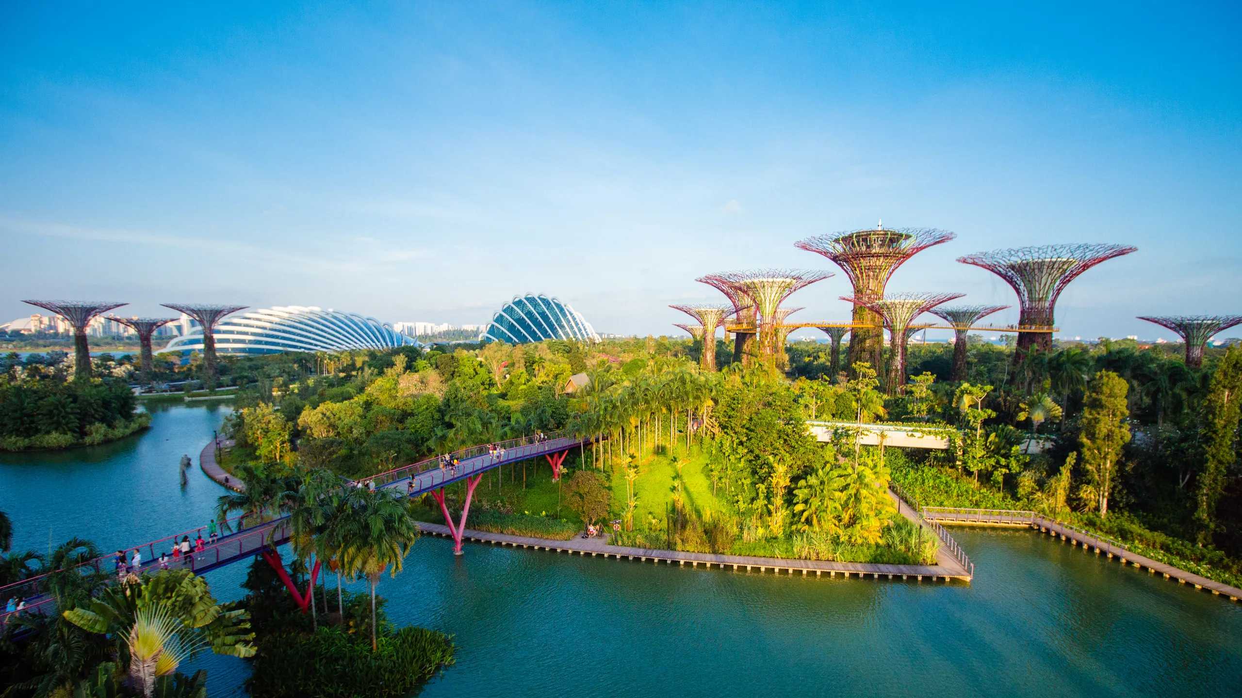  Discover the Magic of Nature at Gardens by the Bay