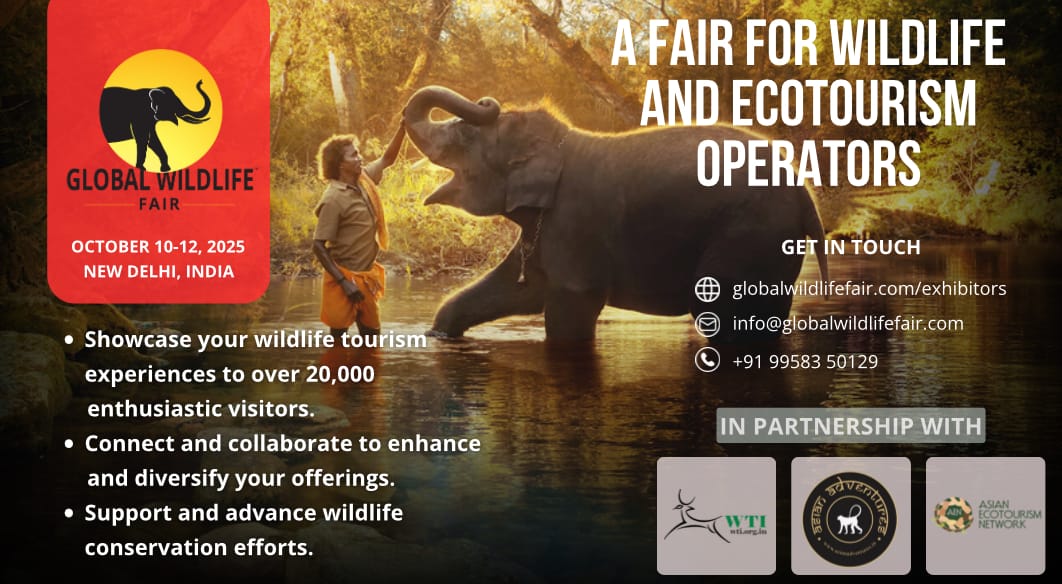  Wildlife Conservation Network | Fund Donate For Conservation