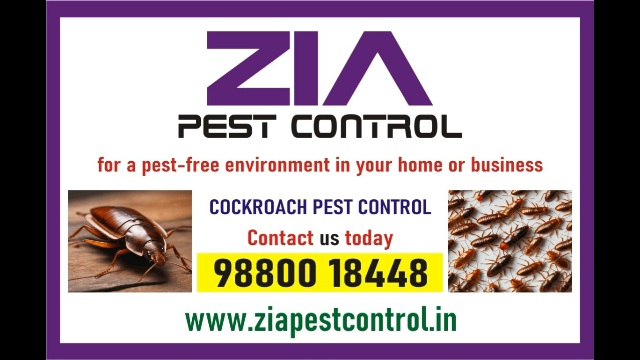  Cockroach service treatment Rs. 999/- only | Zia pest control | AMC is available | 1978