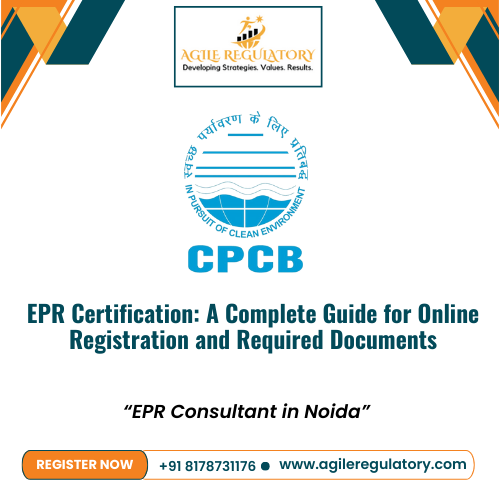  What are CPCB EPR Credit Schemes?