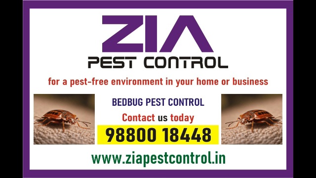  Effective Bedbug Service Treatment  | Rat Control | Zia Pest Control  | 1978