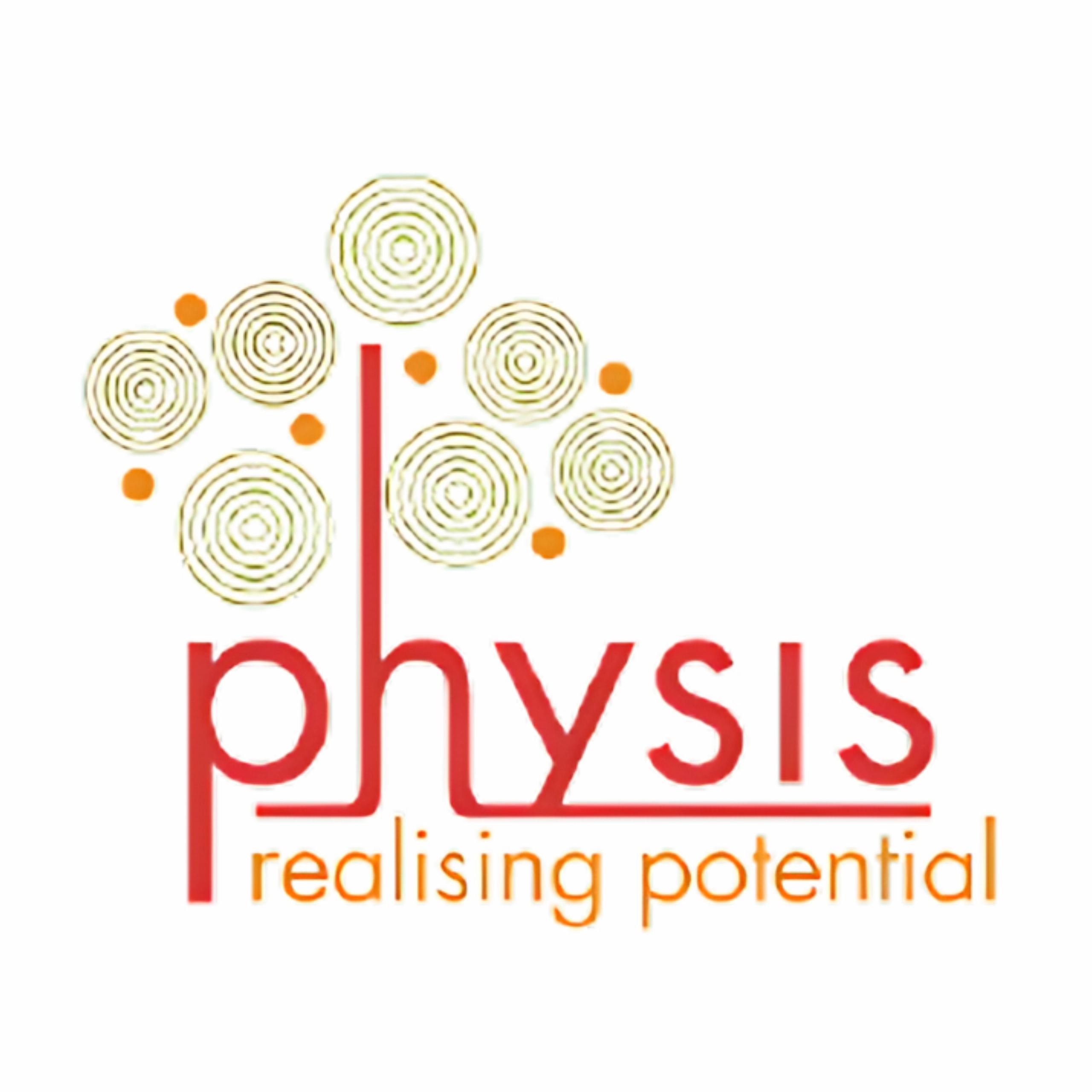  Leadership Coaching For Senior Leaders - Physis