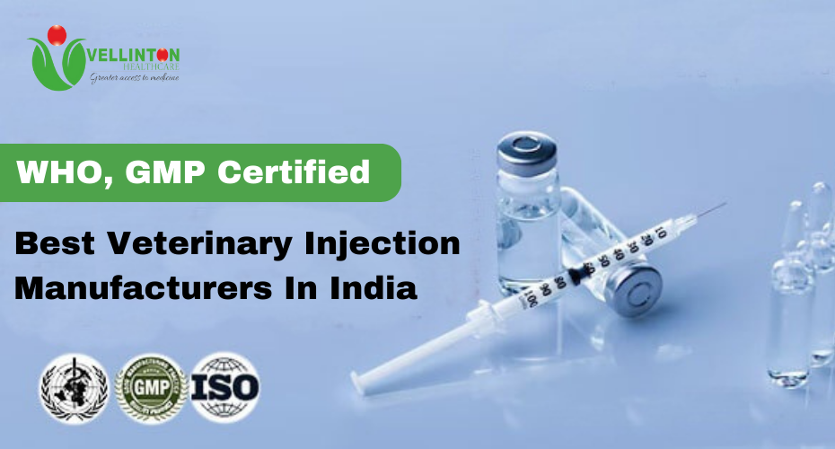  Best Veterinary Injection Manufacturers In India