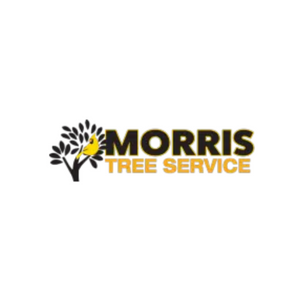  Expert Tree Removal Hudson – Morris Tree Service