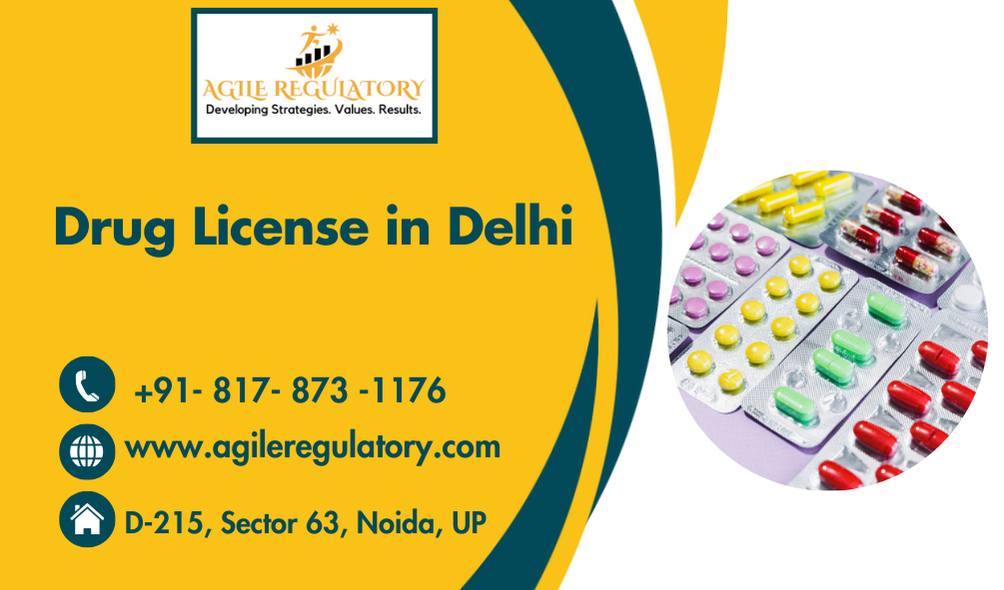  Drug License in Delhi