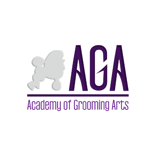  Elevate Your Skills with Professional Dog Grooming Courses in Chennai