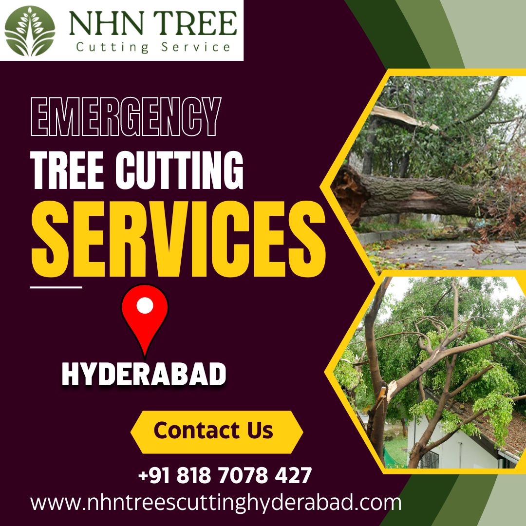  Tree Cutting Services in Hyderabad - NHN Trees Cutting